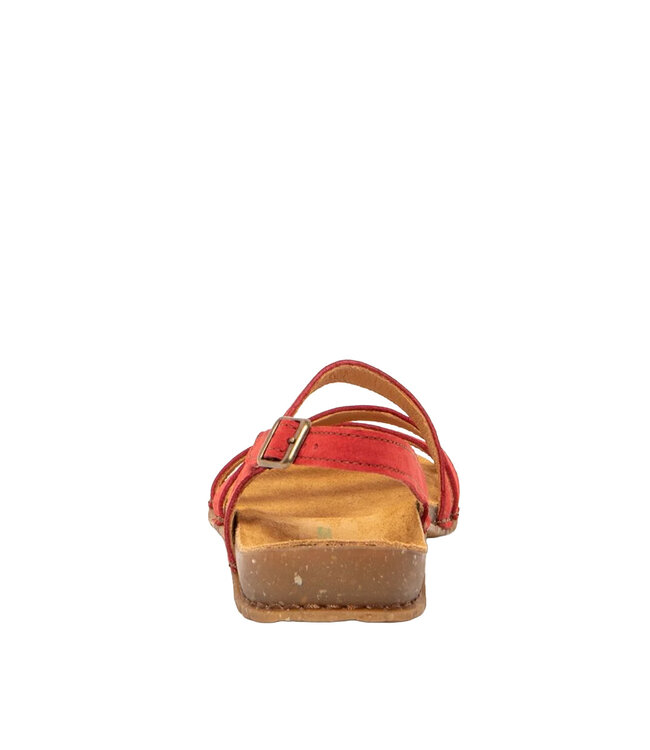 El Naturalista Panglao N5811 Tibet