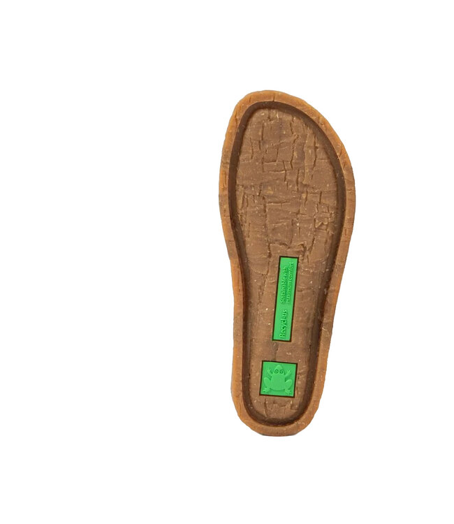 El Naturalista Panglao N5811 Tibet