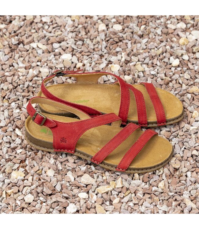 El Naturalista Panglao N5811 Tibet