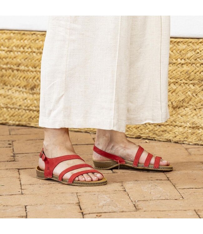 El Naturalista Panglao N5811 Tibet