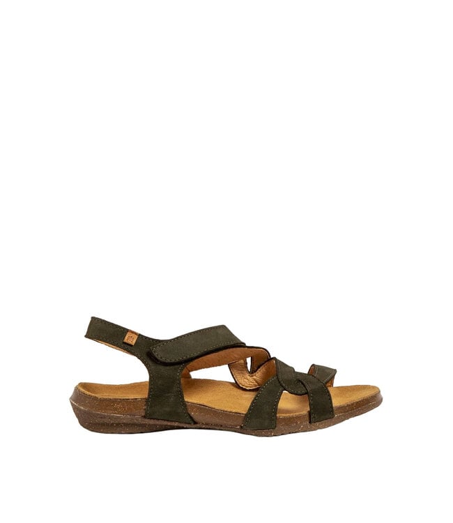 El Naturalista Wakataua N5079 Kaki