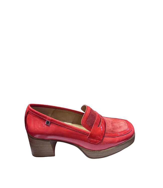 Dorking by Fluchos Women's - Cristel D9439 Coral