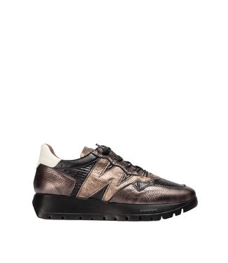 Wonders A-2491 Black / Bronze