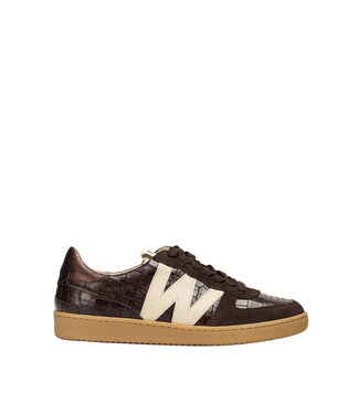 Wonders AP-2002 Brun