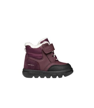 Geox Willaboom Bordeaux