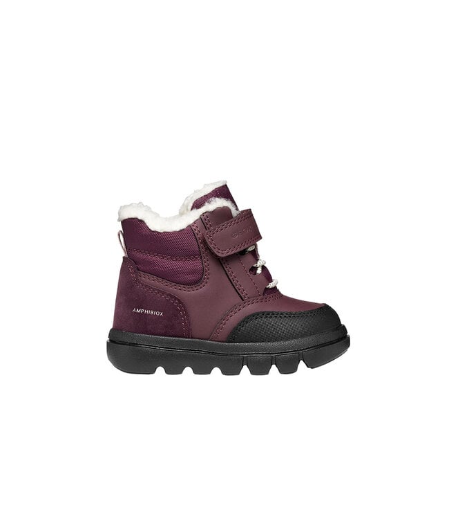 Geox Willaboom Bordeaux