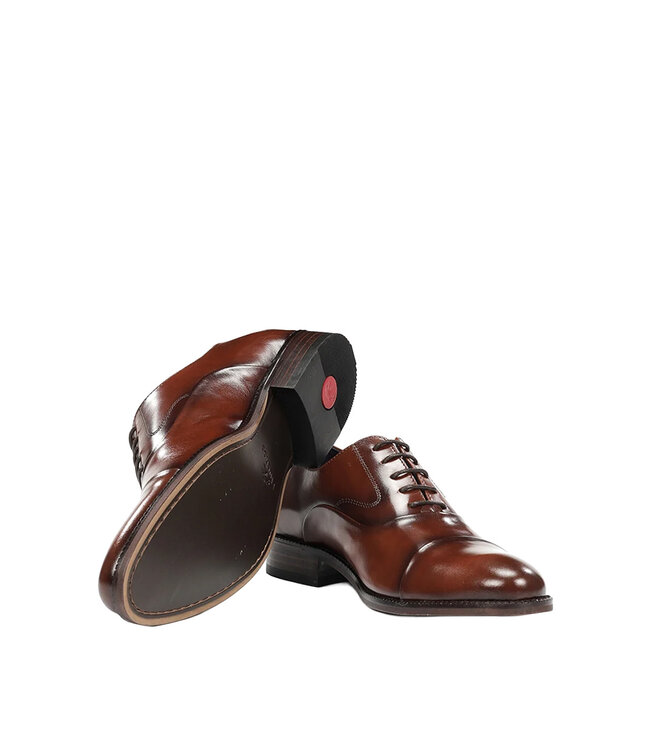 Fluchos Robert F2162 Brun