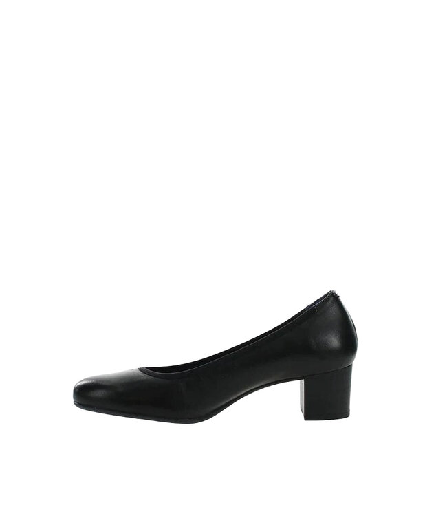 Dorking by Fluchos Geminis D8469 Black