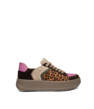 Ara Monaco Brown Multi