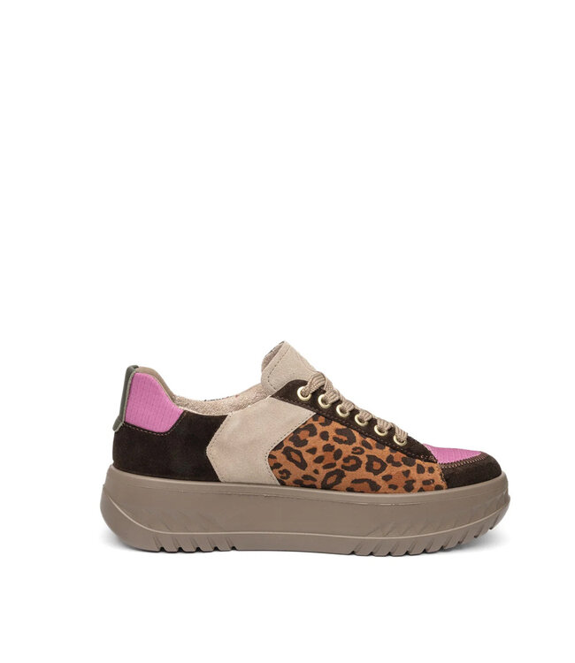 Ara Women- Monaco Brown Multi