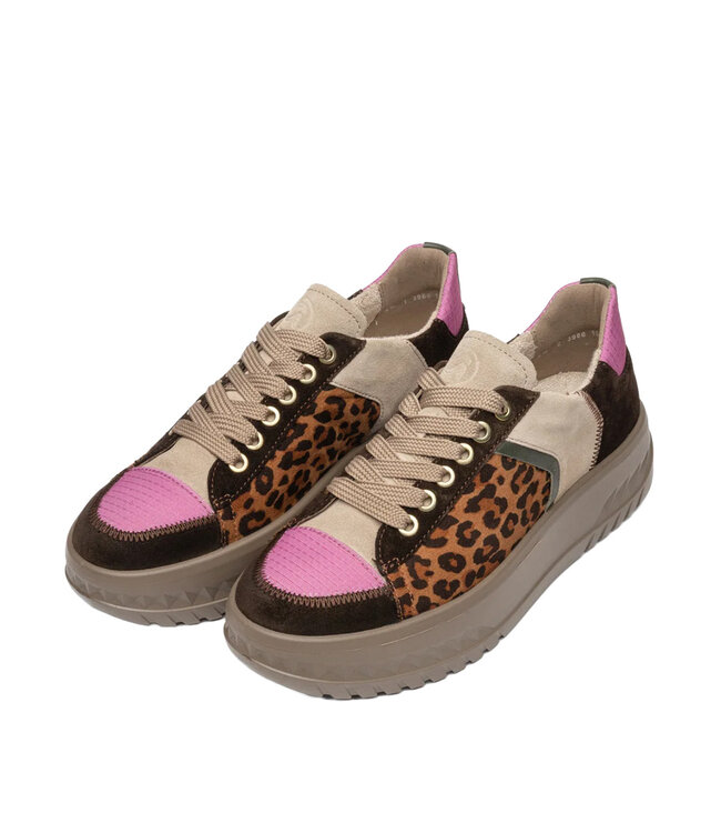 Ara Femmes -Monaco Brun Multi