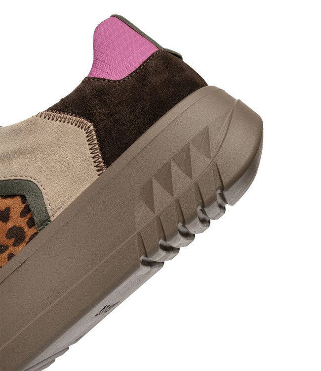 Ara Women- Monaco Brown Multi