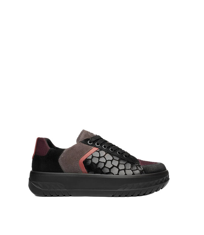Ara Monaco Black Multi