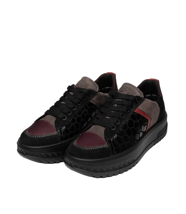Ara Women - Monaco Black Multi