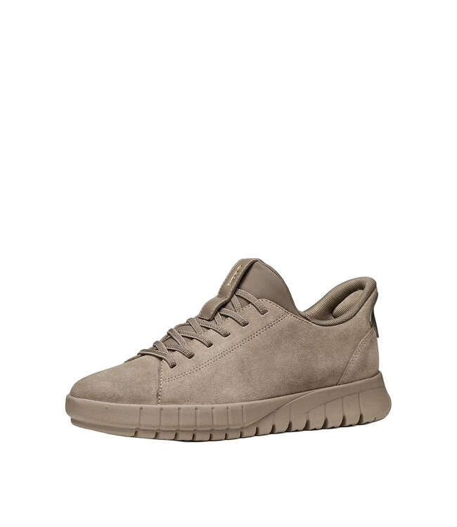 Geox Femmes- Flextride Plus Gris Colombe