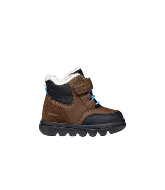 Geox Willaboom Brun Foncé / Noir