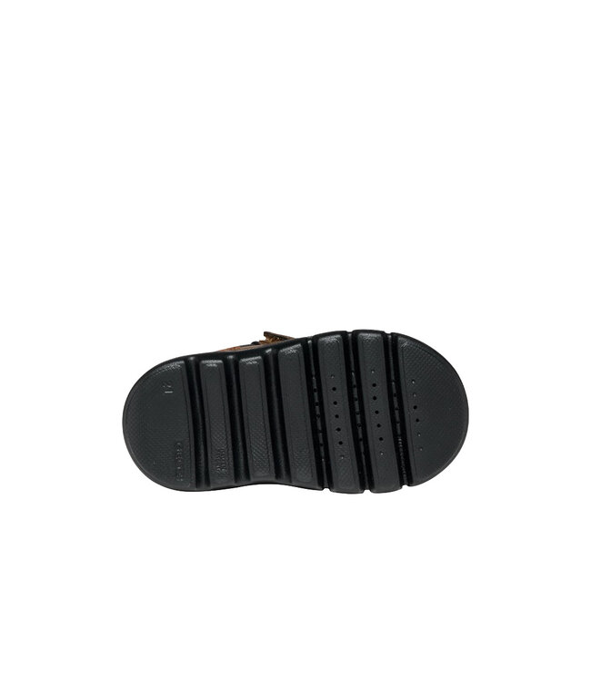 Geox Toddler - Willaboom Dark Brown / Black