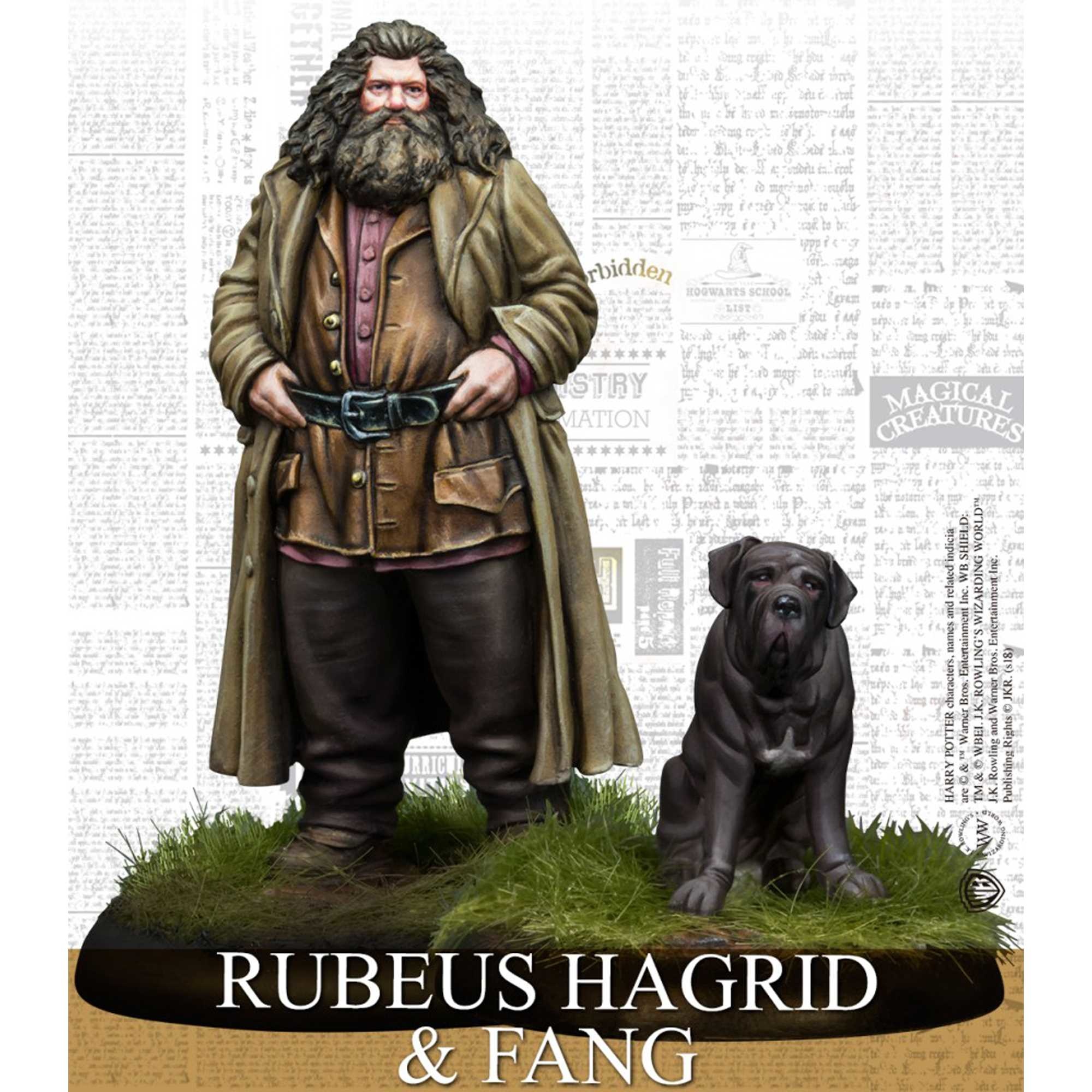 Harry Potter Hagrid Dog