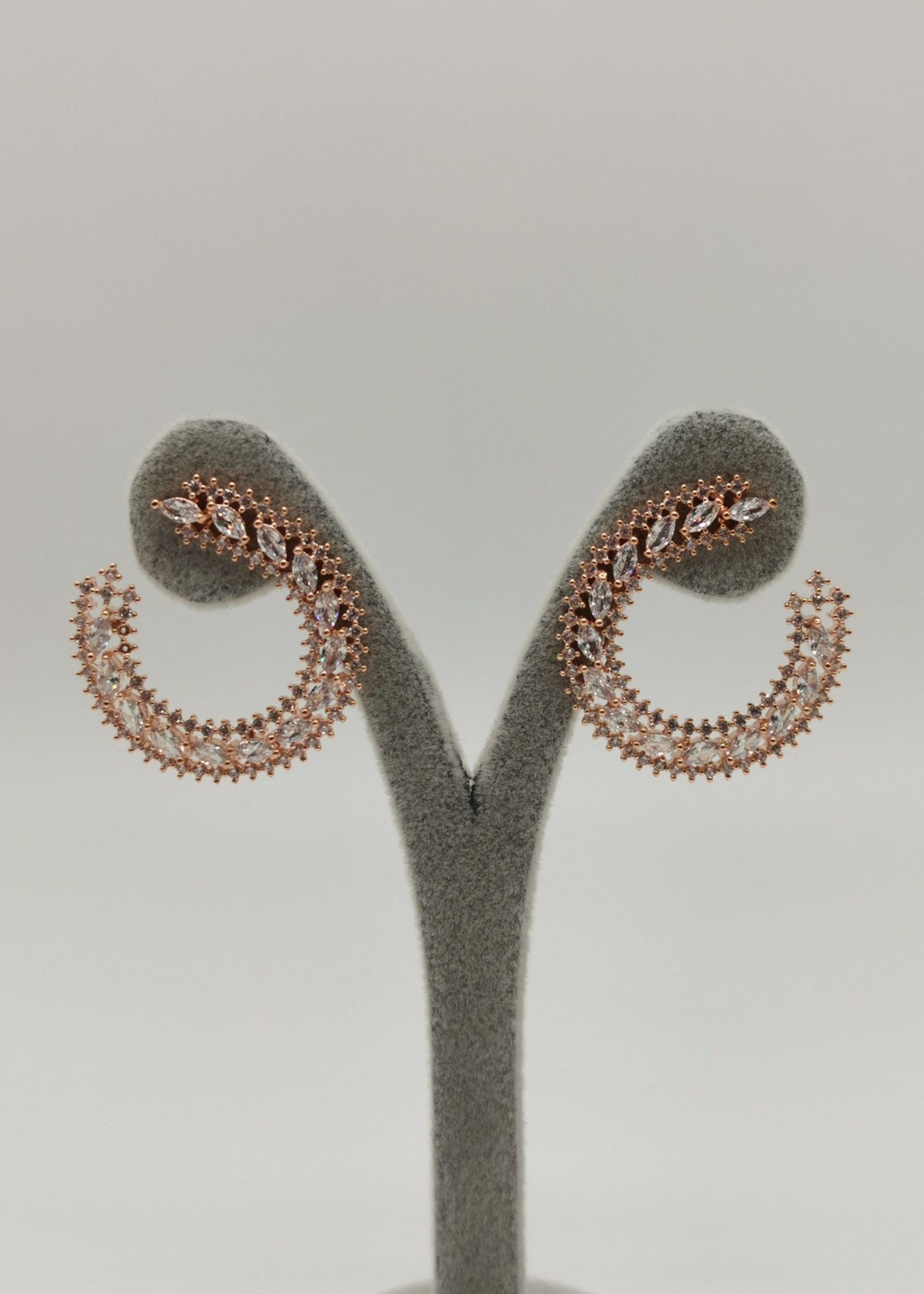 Earring - 1223