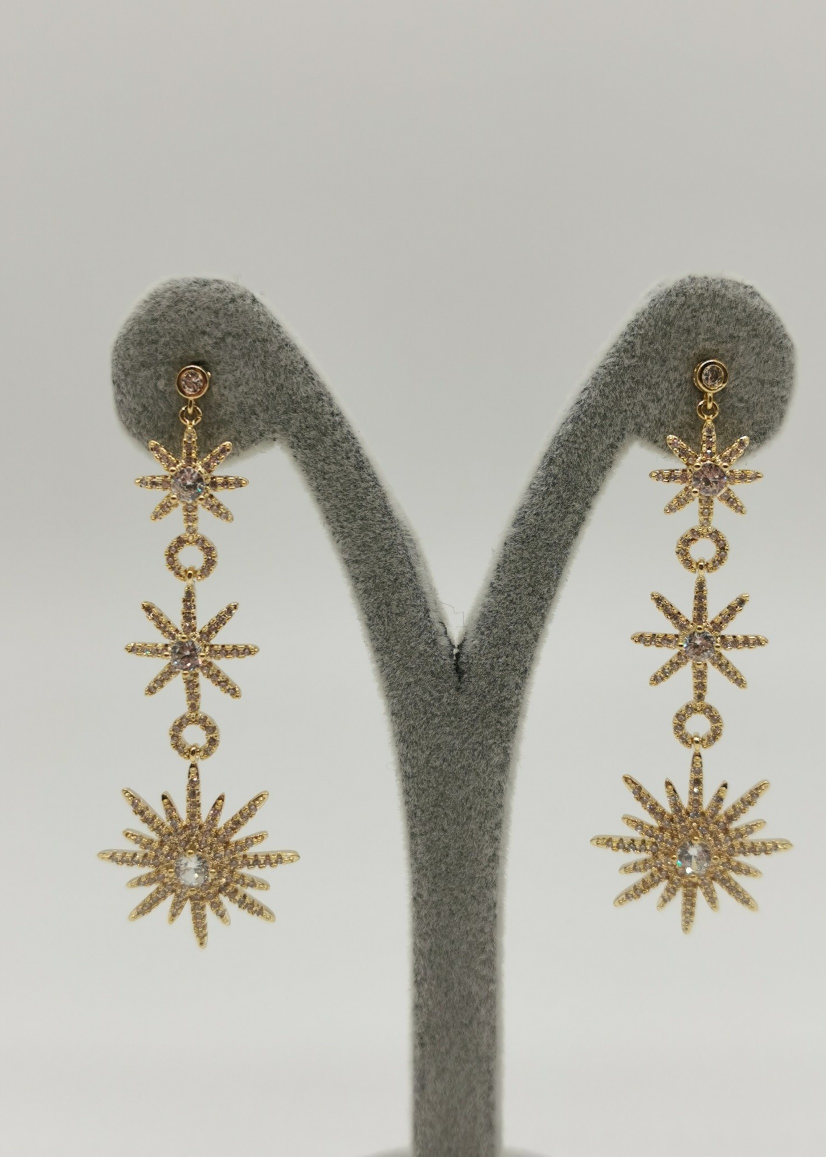 Earring - 1241