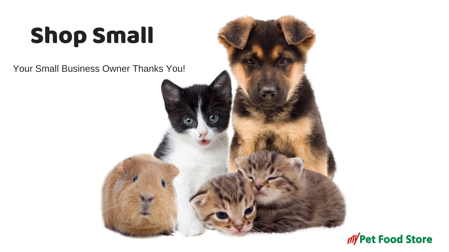 Can Small Businesses Compete With Big Box Stores and Large Online Retailers?