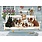 Cobble Hill Puzzles Family 350pc Porch Pals