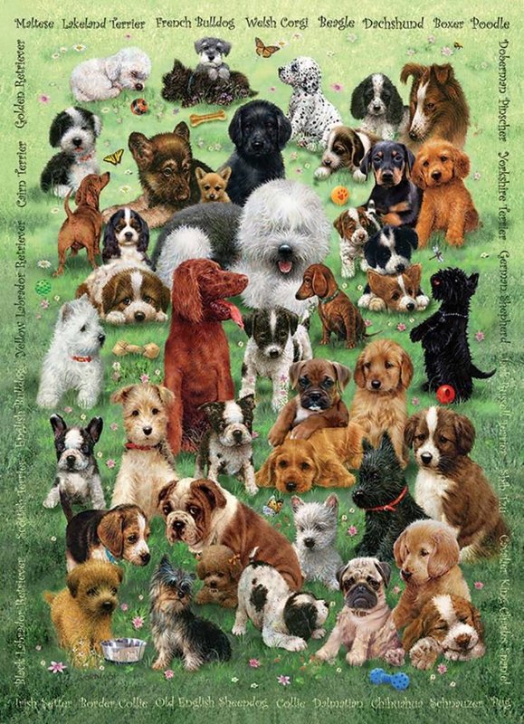Cobble Hill Puzzles Family 350pc Puppy Love