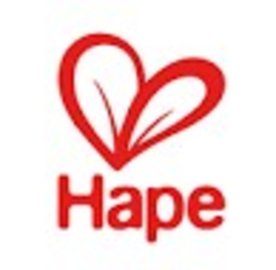 Hape Toys