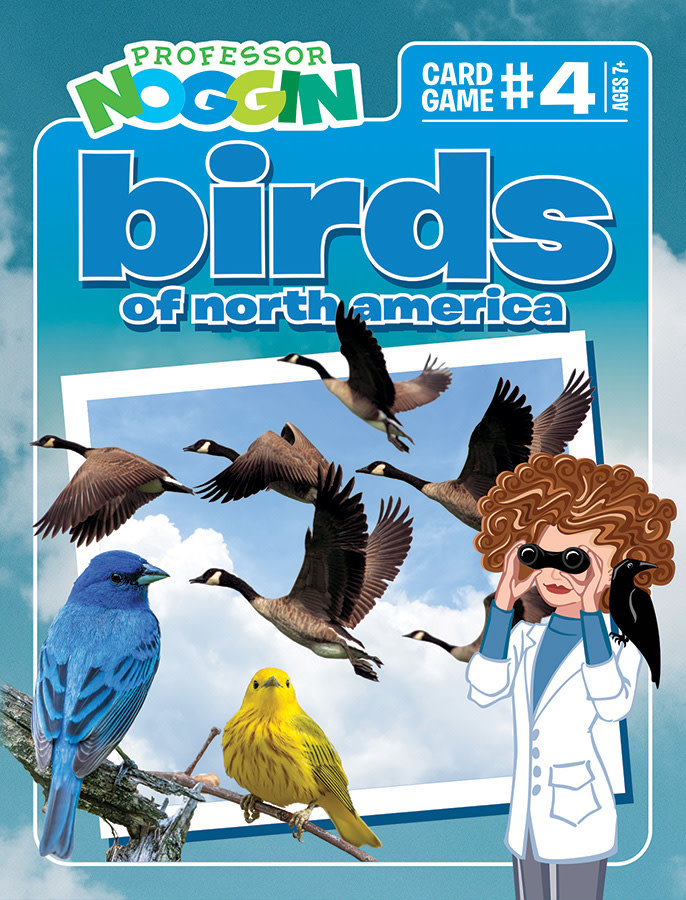 Outset Media Professor Noggin's Trivia Game: Birds