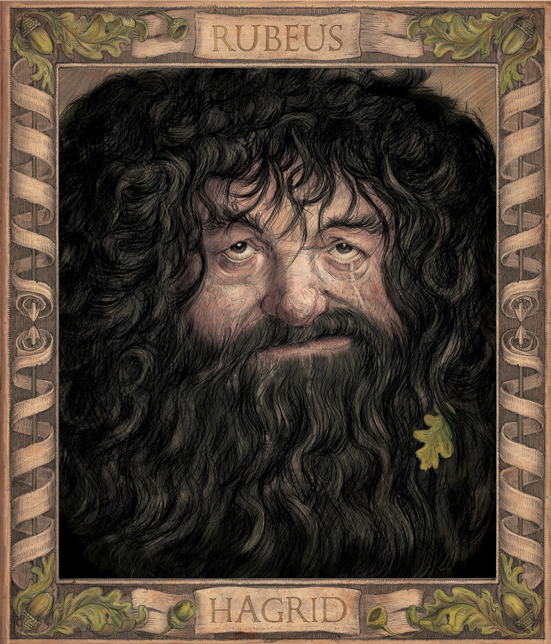 Harry Potter and the Chamber of Secrets Illustrated Editon