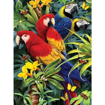 Paint by Numbers Majestic Macaws