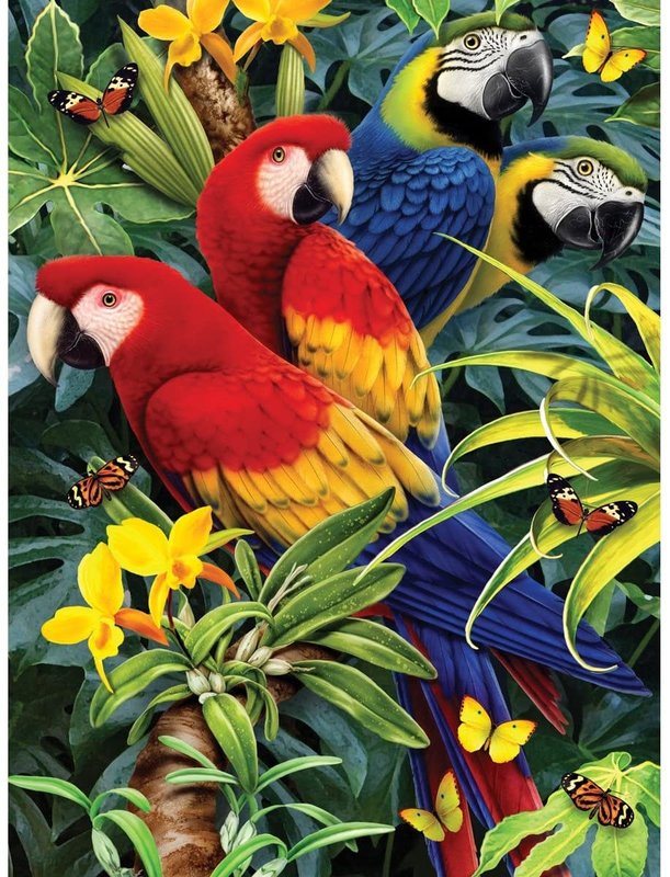 Paint by Numbers Majestic Macaws