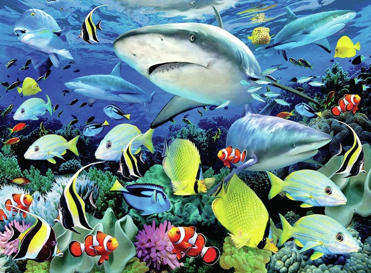 Paint by Numbers Large Reef Sharks