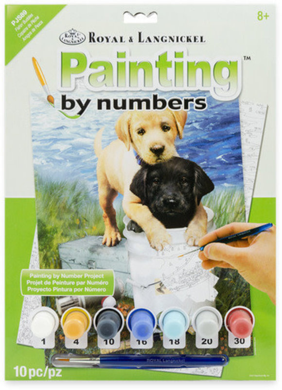 Paint by Numbers Fishin' Buddies