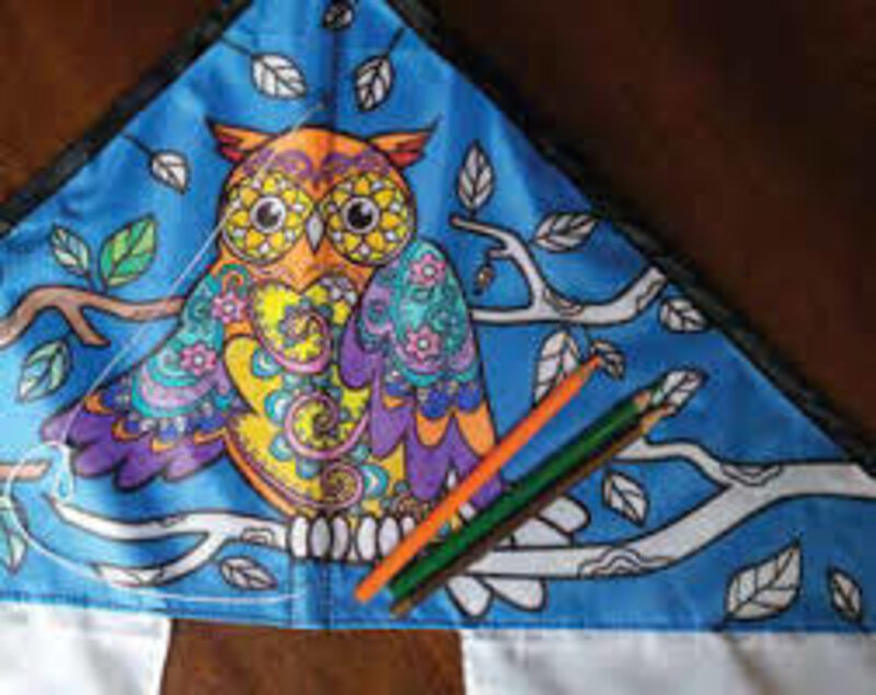Premier Coloring Kite Owl