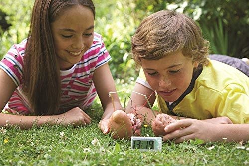 Green Science Potato Clock