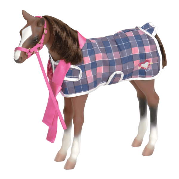 Our Generation Our Generation Foal Quarter