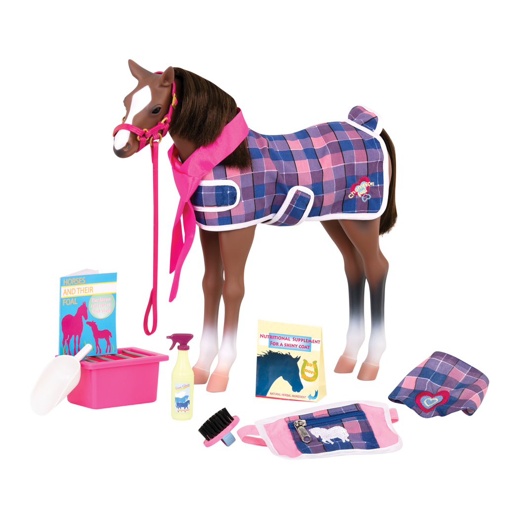 Our Generation Our Generation Foal Quarter