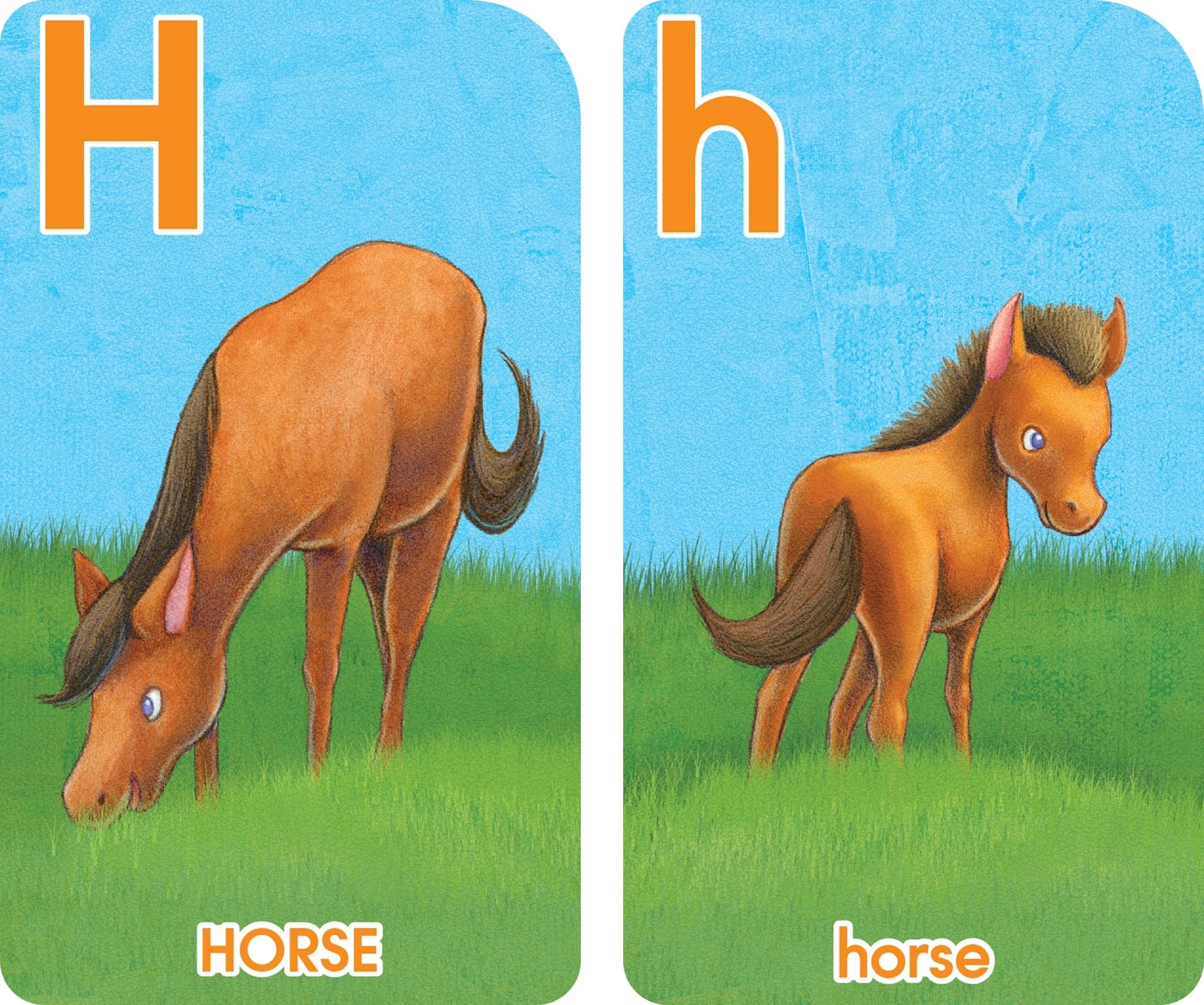 School Zone Flash Cards Go Fish Alphabet