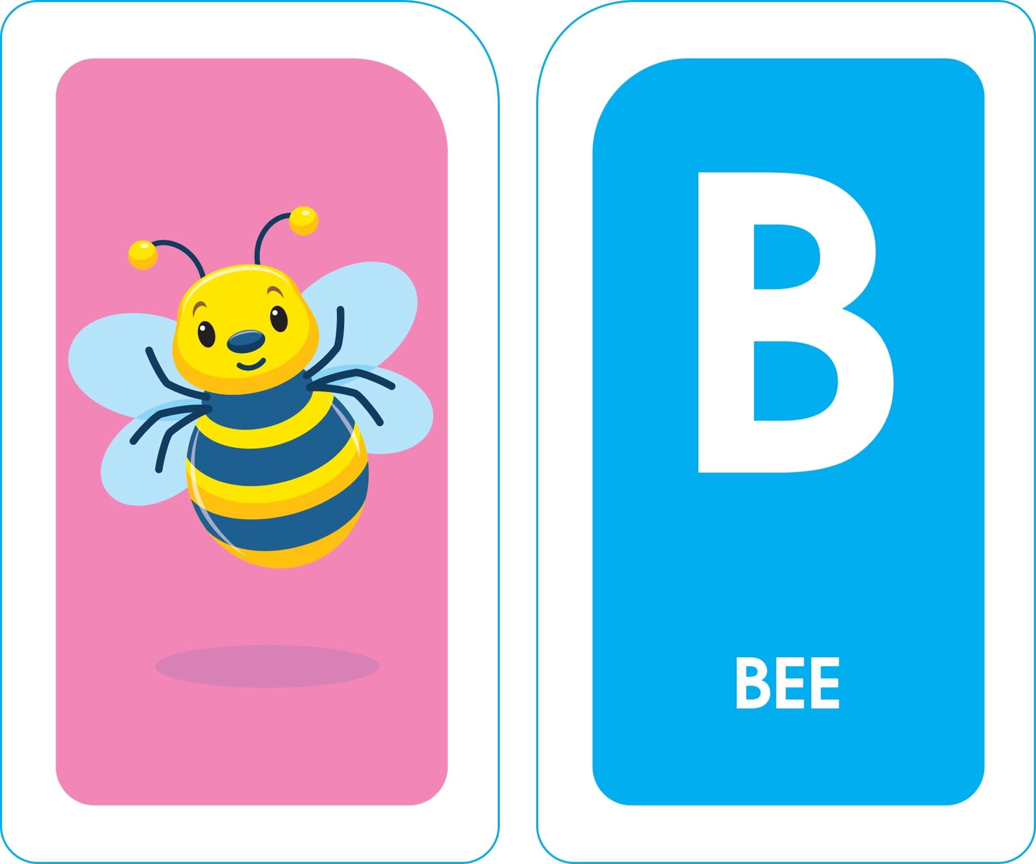 School Zone Flash Cards Alphabet