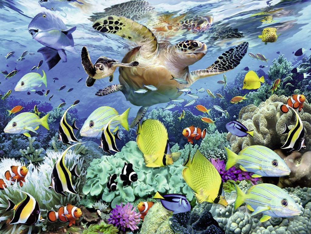 Ravensburger Ravensburger Puzzle 150pc Underwater Paradise