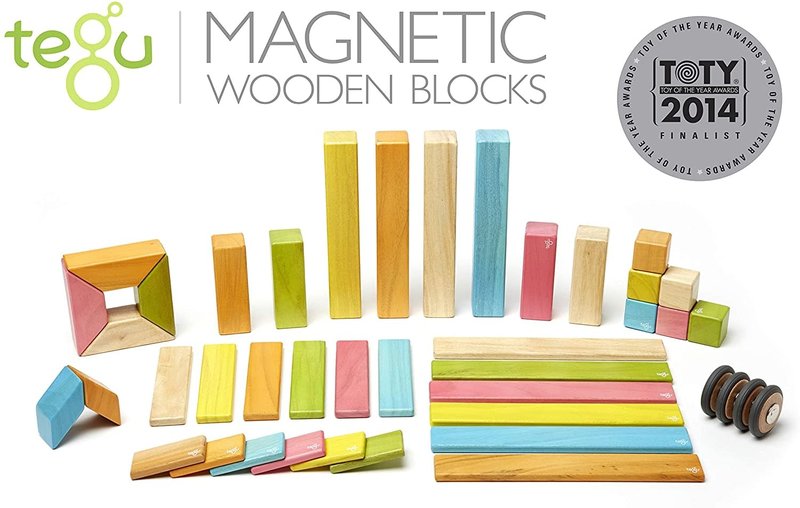 Tegu Tegu Magnetic Wooden Block 42PC Tints
