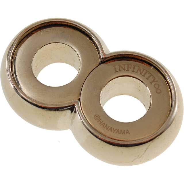 Cast Metal Puzzle Level 10 Infinity