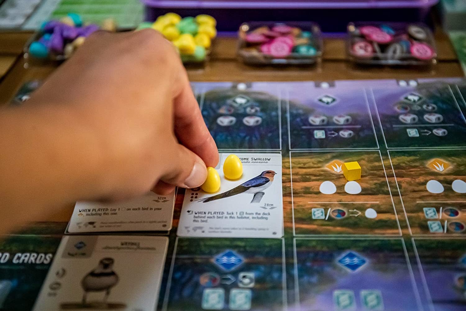 Wingspan: Oceania Expansion Game