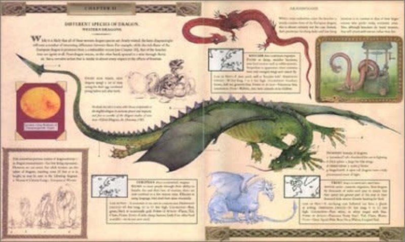 Dragonology The Complete Book of Dragons