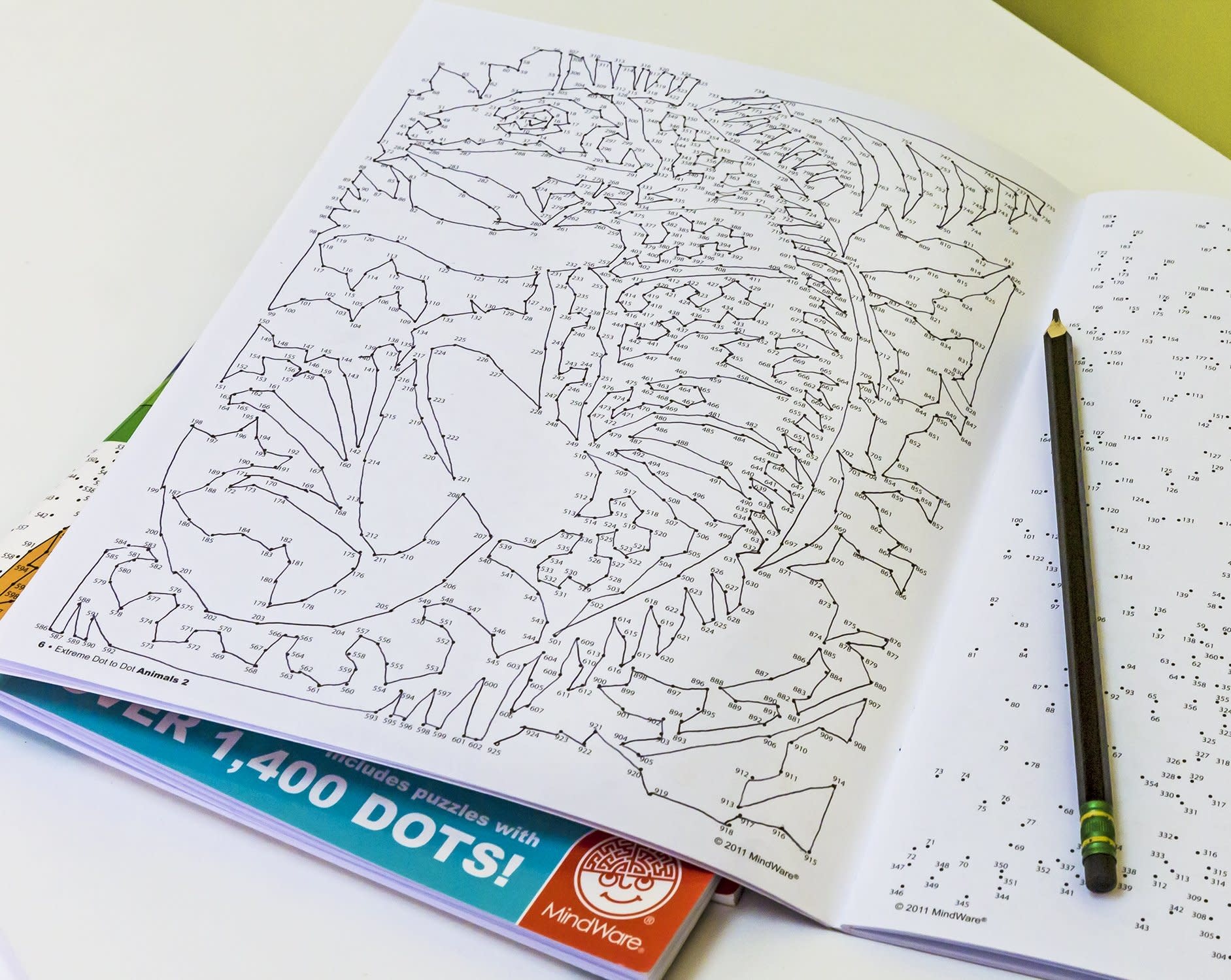 Mindware Extreme Dot to Dot Animals #2