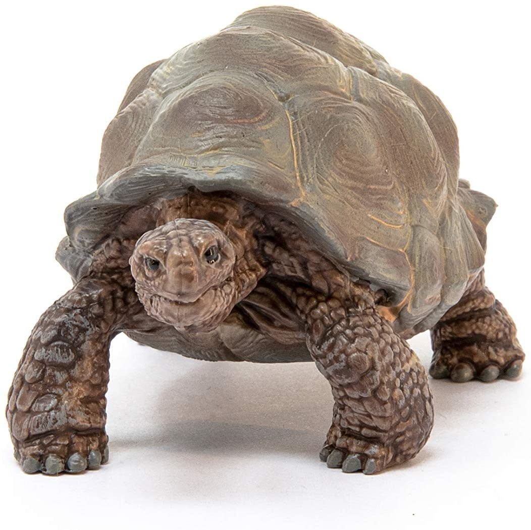 Schleich Schleich Wild Life Giant Tortoise