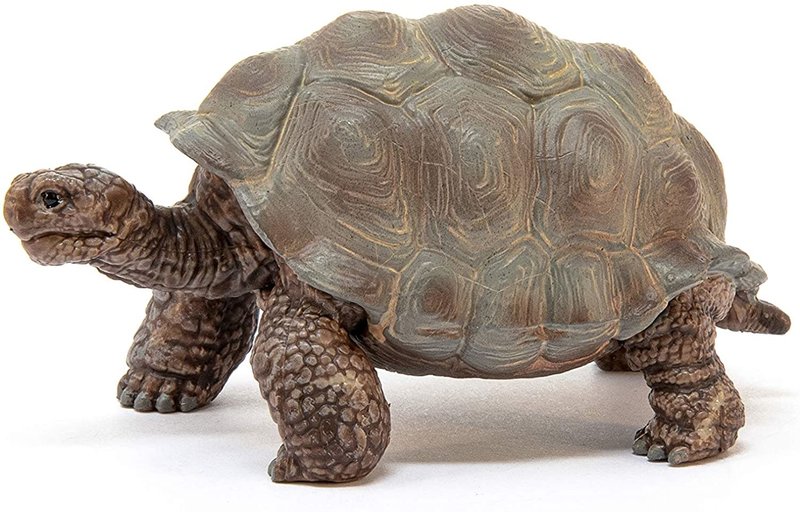Schleich Schleich Wild Life Giant Tortoise