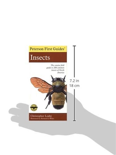 Peterson Field First Guide To Insects