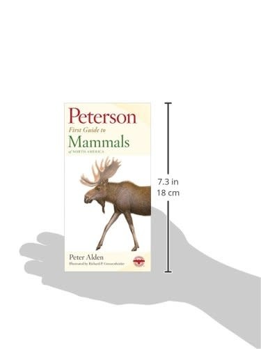 Peterson Field First Guide To Mammals